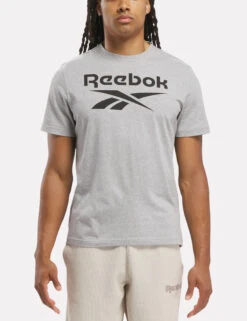 Reebok Identity Big Logo Pure Cotton T-Shirt