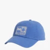 Billabong Pure Cotton Baseball Cap