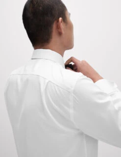 Regular Fit Cotton Dress Shirt With Bow Tie -Marksandspencer Sale Store Regular Fit Cotton Dress Shirt with Bow Tie 5