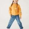 Denim Embroidered Jean (2-8 Yrs)