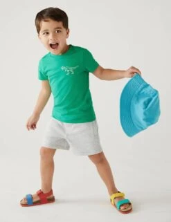Pure Cotton Dinosaur Print T-Shirt (2-8 Yrs) -Marksandspencer Sale Store SD 04 T88 4226B J4 X EC 1